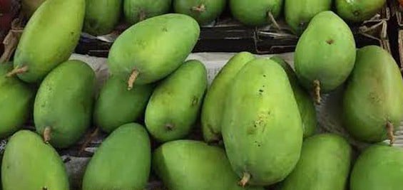 Vietnamese mangoes are loved by many Europeans. Photo courtesy of the government's news portal.
