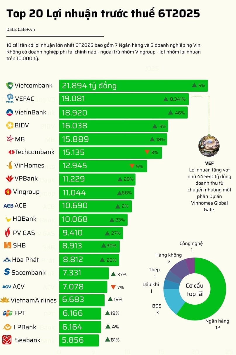 Top 20 enterprises with the highest pre-tax profits in Vietnam in the first half of 2025.
