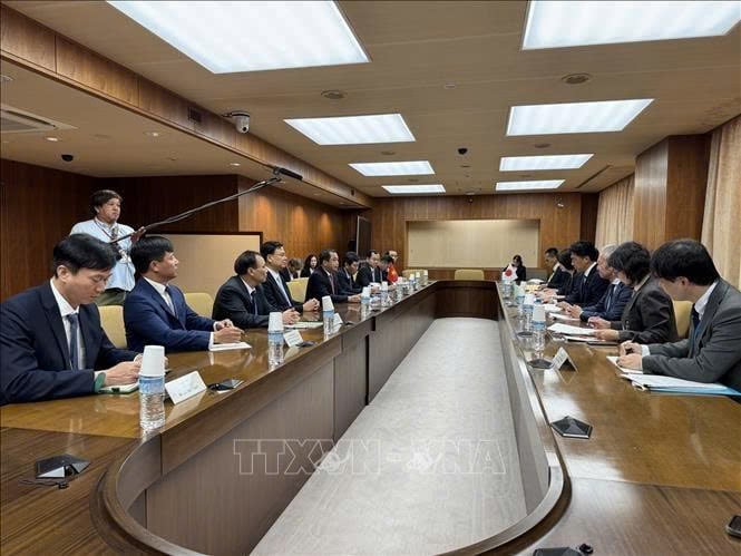 At the sixth Vietnam - Japan high-level agricultural cooperation dialogue. Photo ccourtesy of VNA.