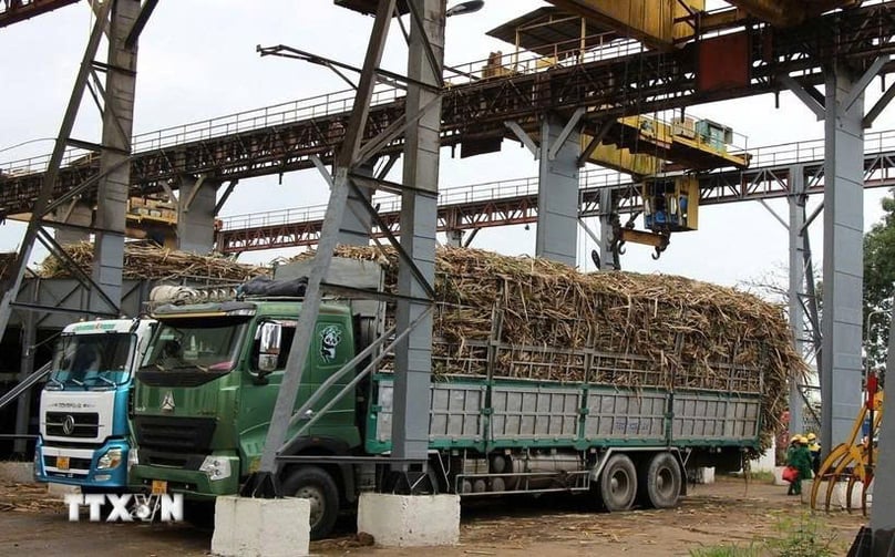 The KCP Sugar Mill in Dak Lak province purchases sugarcane from local farmers for processing. Photo courtesy of VNA.
