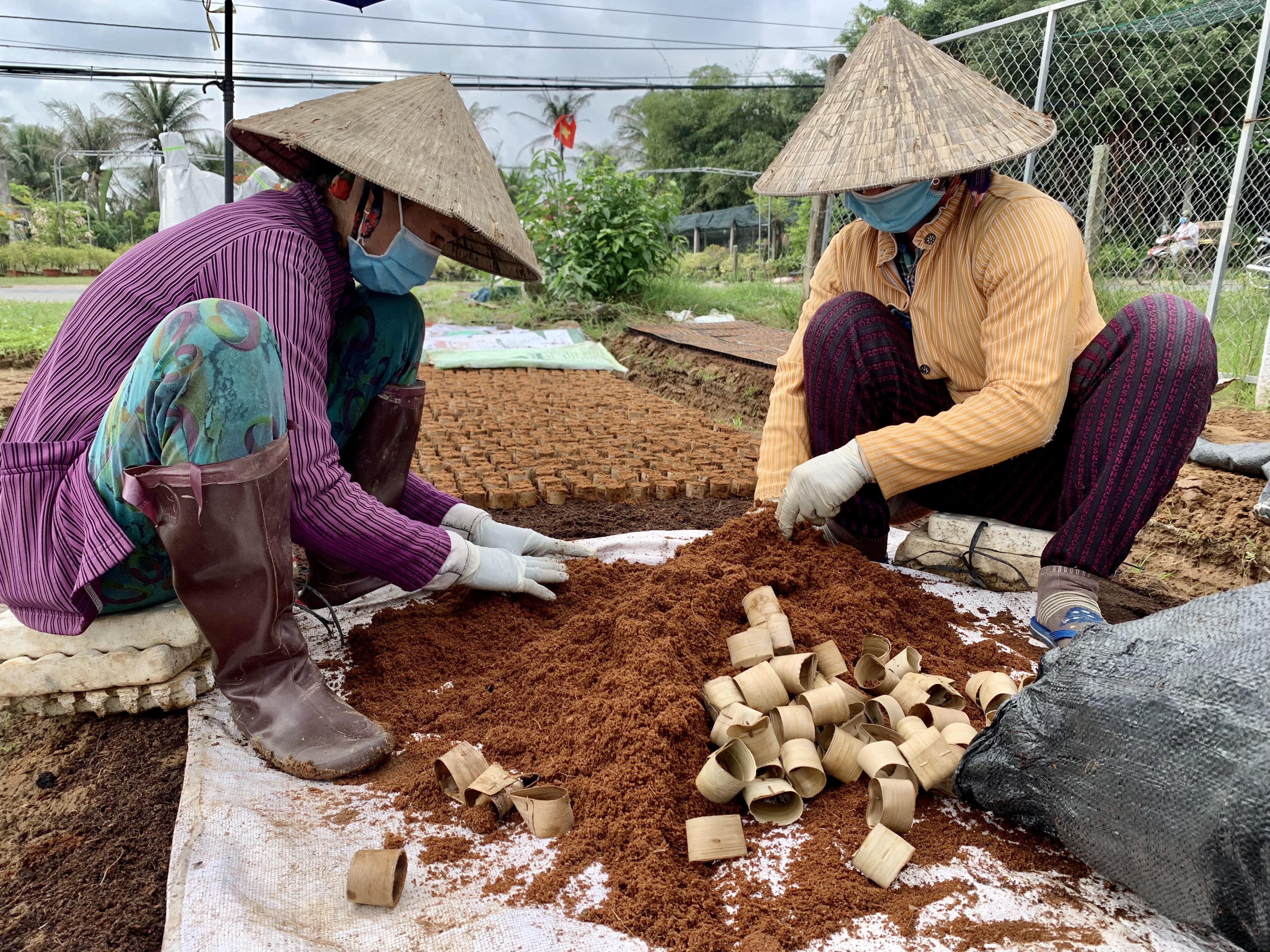 Reluctant choices of Mekong Delta’s women as climate change ravages the region 2