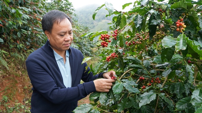 Struggling businesses amid accelerating coffee prices