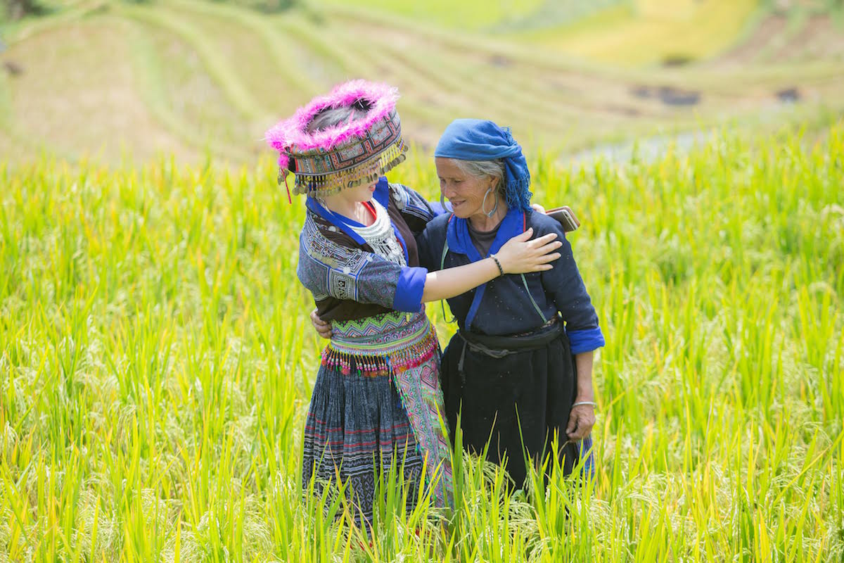 The stunning sight of rice harvest in Mu Cang Chai, Vietnam 6