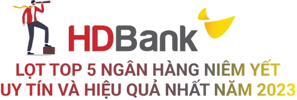 TOP 10 công ty hiệu quả nhất năm 2023: Ấn tượng HDBank, Đạm Phú Mỹ và Hóa dầu Đức Giang 2