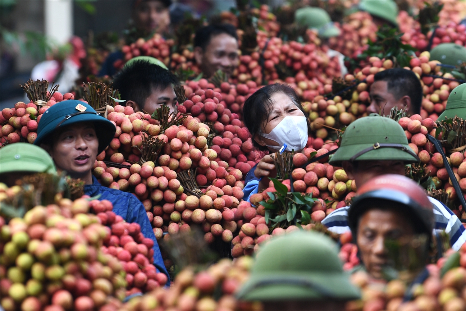 Thủ phủ vải Thiều Lục Ngạn tấp nập dù mới đầu vụ thu hoạch 7