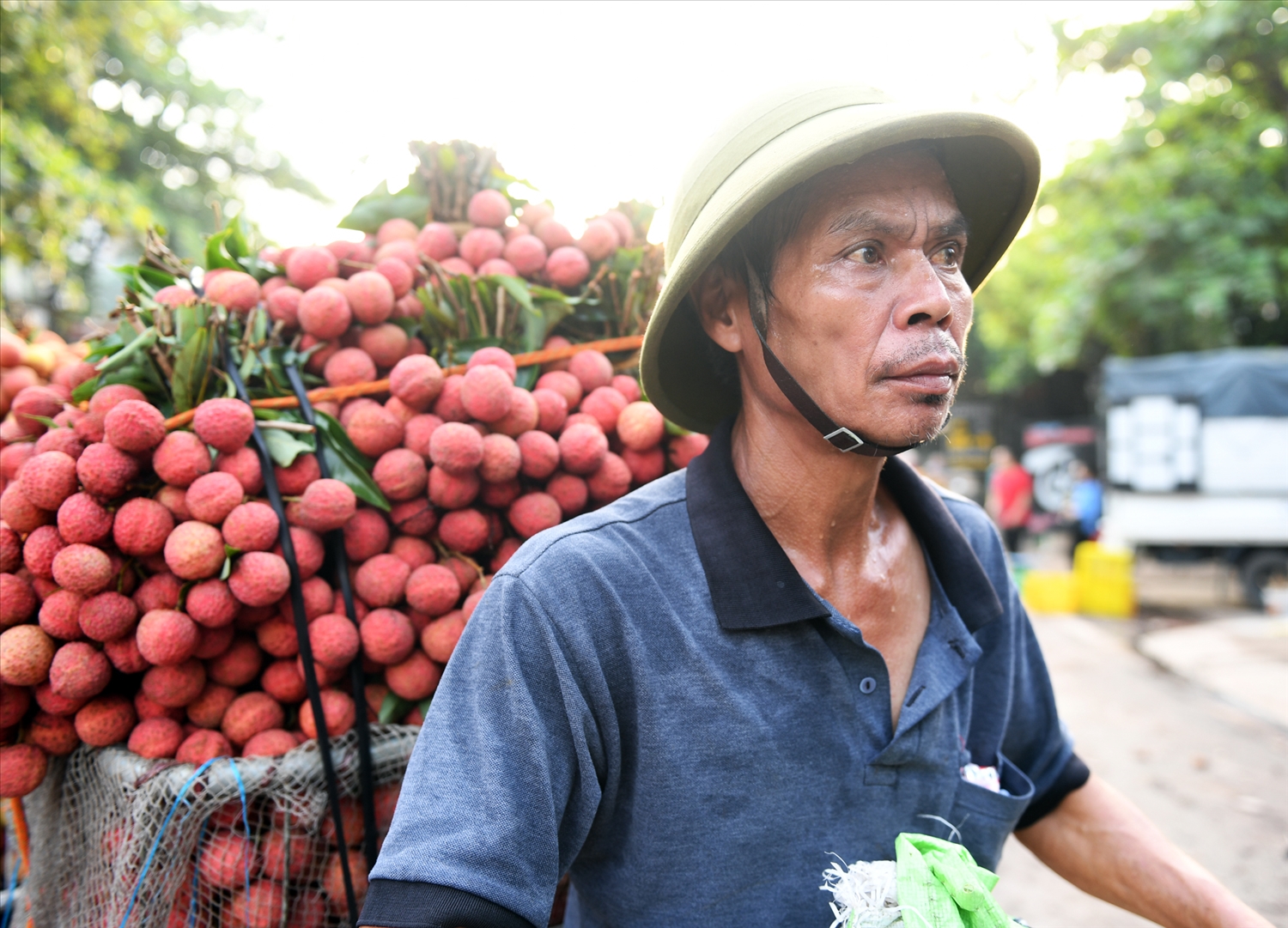 Thủ phủ vải Thiều Lục Ngạn tấp nập dù mới đầu vụ thu hoạch 12