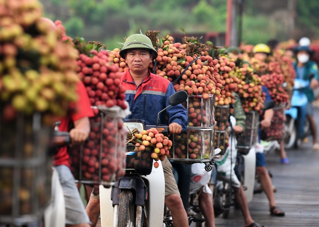 Siêu thị lớn đẩy mạnh tiêu thụ vải thiều Bắc Giang 1