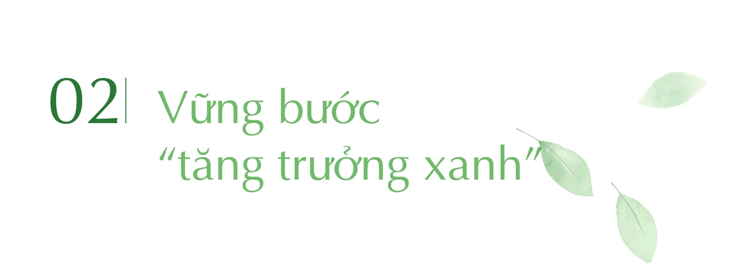 Cụm trang trại bò sữa TH: ‘Thắp sáng’ tương lai bằng năng lượng xanh 7