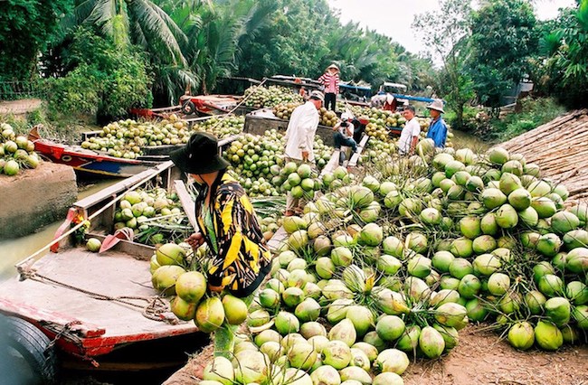 Cô hướng dẫn viên du lịch quốc tế từ bỏ mức lương hơn nghìn đô/tháng để khởi nghiệp với trái dừa 