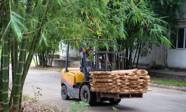 Chuyên gia tư vấn tài chính 8x khát khao nâng tầm cây tre Việt