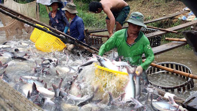 Xuất khẩu nông nghiệp - tiềm năng lớn của Việt Nam