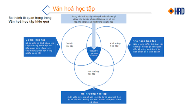 Xây dựng văn hoá học tập hiệu quả ở Base.vn và Sacombank 2