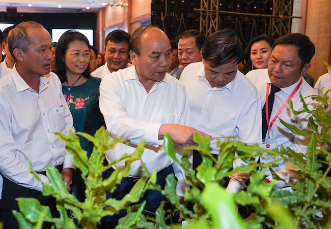 Để mắc ca trở thành mặt hàng đứng đầu thế giới của Việt Nam 1
