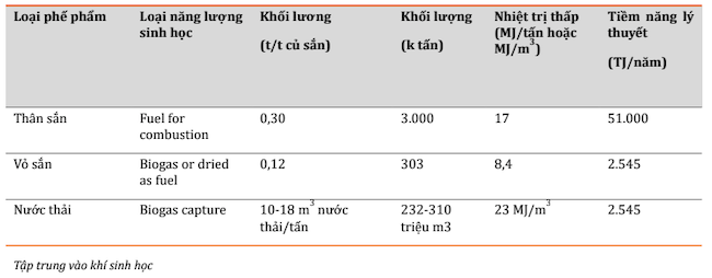 Năng lượng sinh học có tiềm năng để sản xuất điện 1