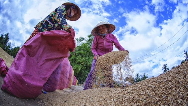 Chống biến đổi khí hậu cần các nhãn hàng quốc tế vào cuộc