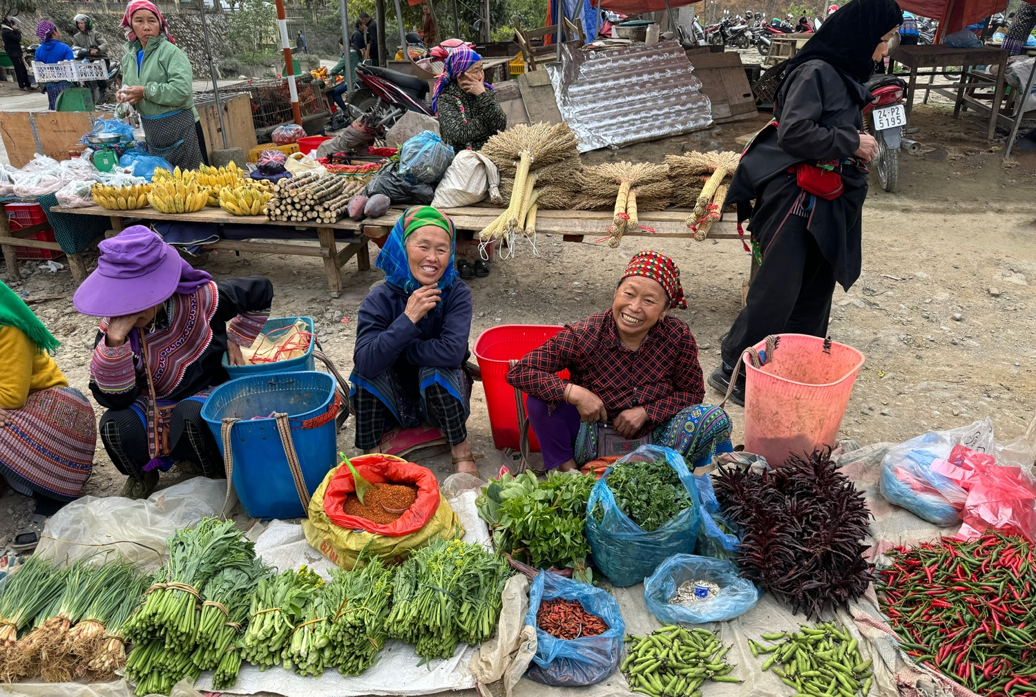 Sắc trắng hoa mận làm say đắm lòng du khách trẩy hội mùa xuân Bắc Hà. 14