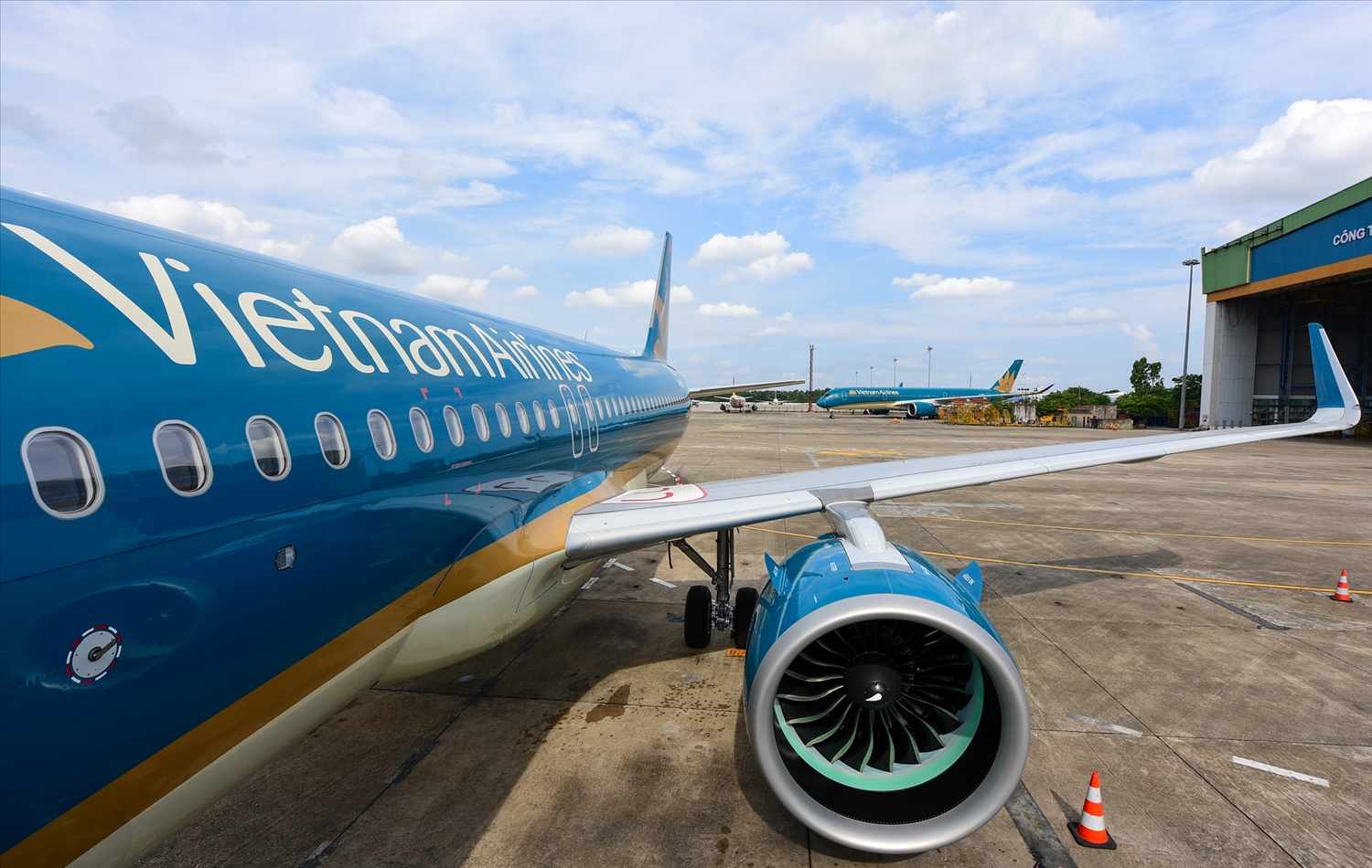 Tân binh Airbus A320neo gia nhập đội bay, tăng cường chuyên chở cho cao điểm hè. 9