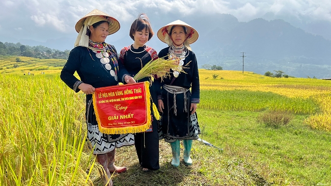 Mây bay lảng bảng trên “Mùa vàng Hồng Thái” 1