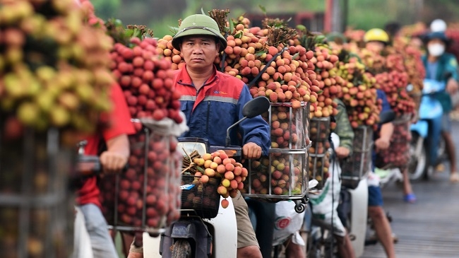 Vướng mắc trong đăng ký bảo hộ nhãn hiệu ở nước ngoài