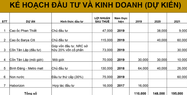 Tổng vốn đầu tư các dự án gấp 3 lần vốn điều lệ, Netland có phải vay? 2