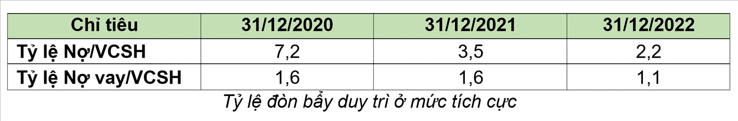 Bamboo Capital: doanh thu năm 2022 đạt hơn 4.531 tỷ, lợi nhuận sau thuế hơn 546 tỷ 2