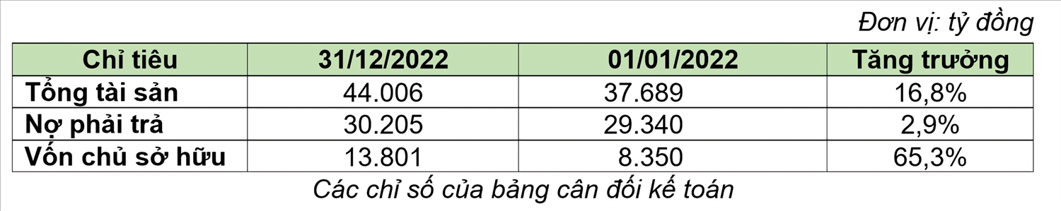 Bamboo Capital: doanh thu năm 2022 đạt hơn 4.531 tỷ, lợi nhuận sau thuế hơn 546 tỷ 1