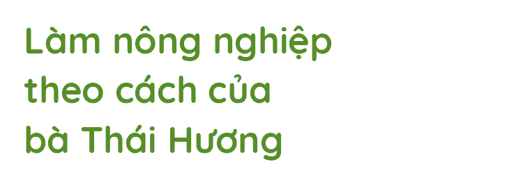 “100 bà Thái Hương” và lời giải cho bài toán đưa Việt Nam thành cường quốc nông nghiệp 2