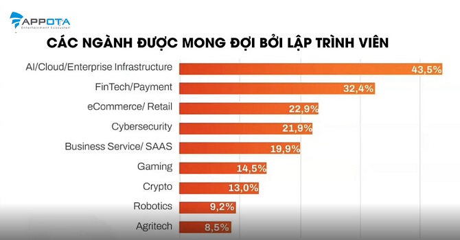 Giải mãi bài toán nhân lực ngành IT Việt Nam