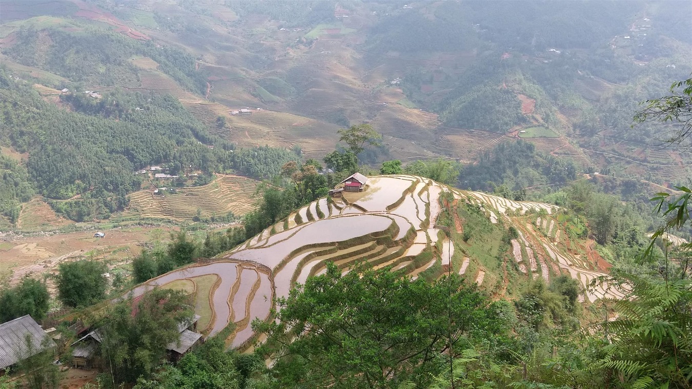 Bạch Mộc Lương Tử: Rừng mây giữa lòng Tây Bắc 1