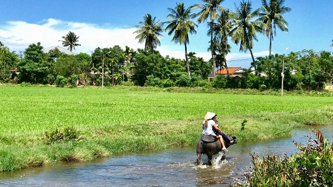 Hội An 1