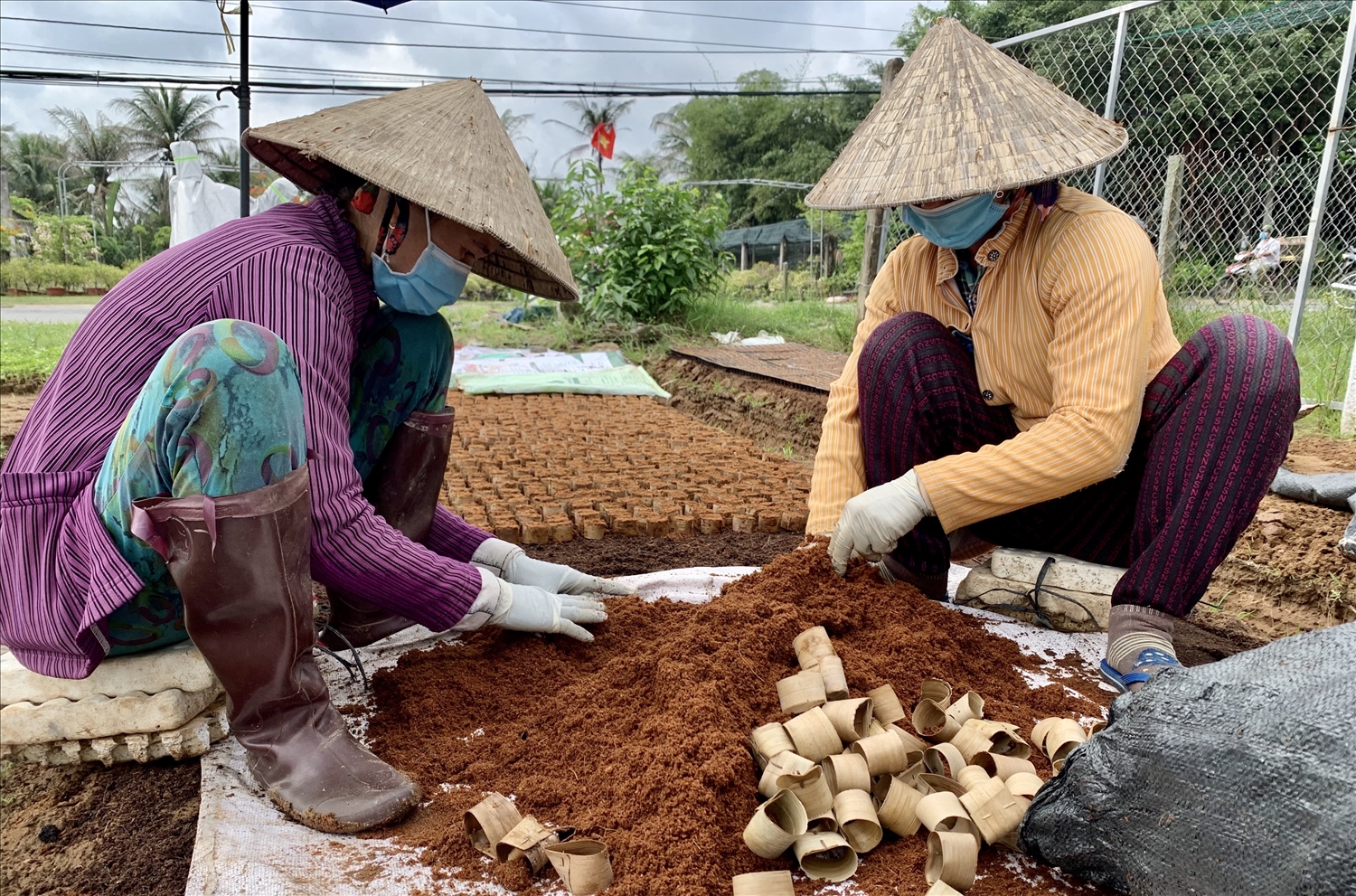 Ngã ba lựa chọn của phụ nữ ĐBSCL giữa biến đổi khí hậu 2