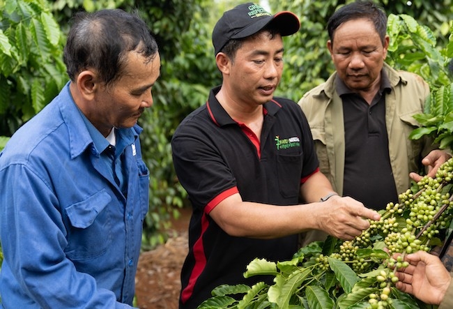 Kinh nghiệm giảm phát thải trong chuỗi giá trị của Nestlé