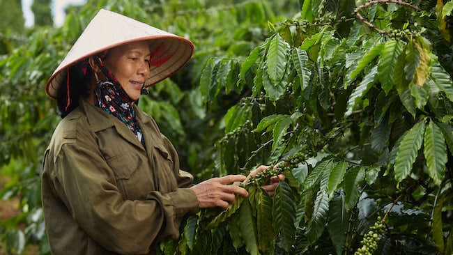 Phó thủ tướng: Năng lực cạnh tranh mới của doanh nghiệp, của quốc gia 1