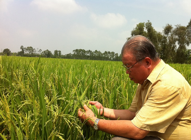 Giáo sư Võ Tòng Xuân: Tư duy và định hình lại cách thức phát triển Đồng bằng sông Cửu Long 2