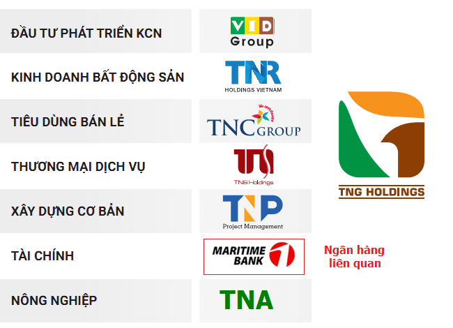 Ráo riết bán các tài sản liên quan đến tập đoàn TNG