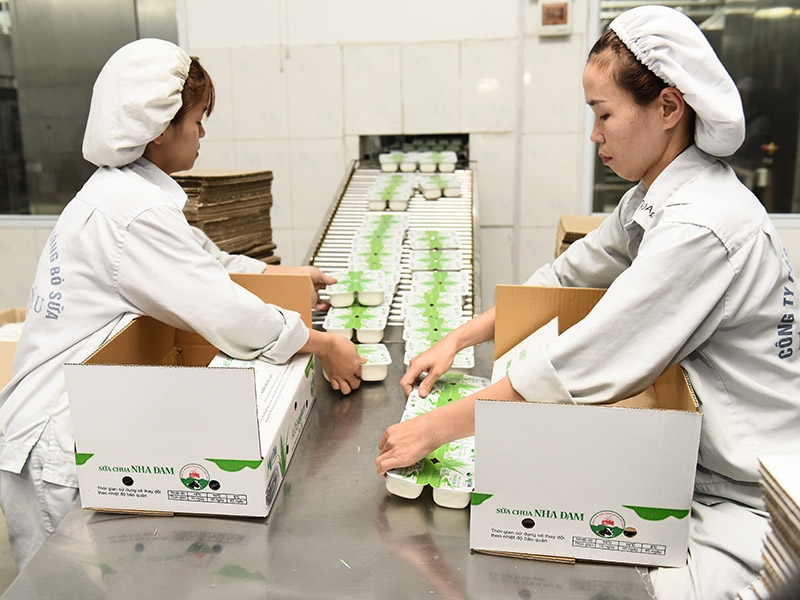 6 thập kỷ trở thành “chuyên gia bò sữa” ấn tượng của Mộc Châu Milk 2