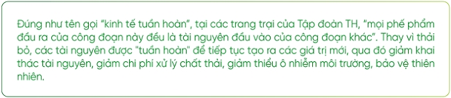 Trái ngọt từ hành trình “gian khó nhưng đầy kiêu hãnh và ngọt ngào" của Tập đoàn TH 3