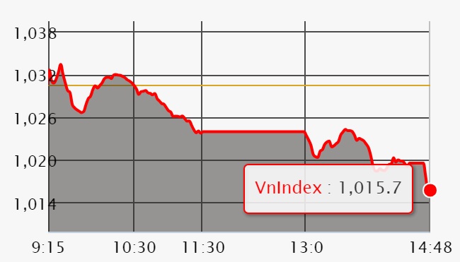 Chứng khoán ngày 14/6: Thiếu trụ đỡ chính, VN-Index bị 'thổi bay' 15 điểm