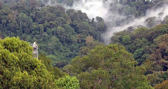 Brunei - Xứ sở hòa bình, xanh sạch, không tệ nạn 2