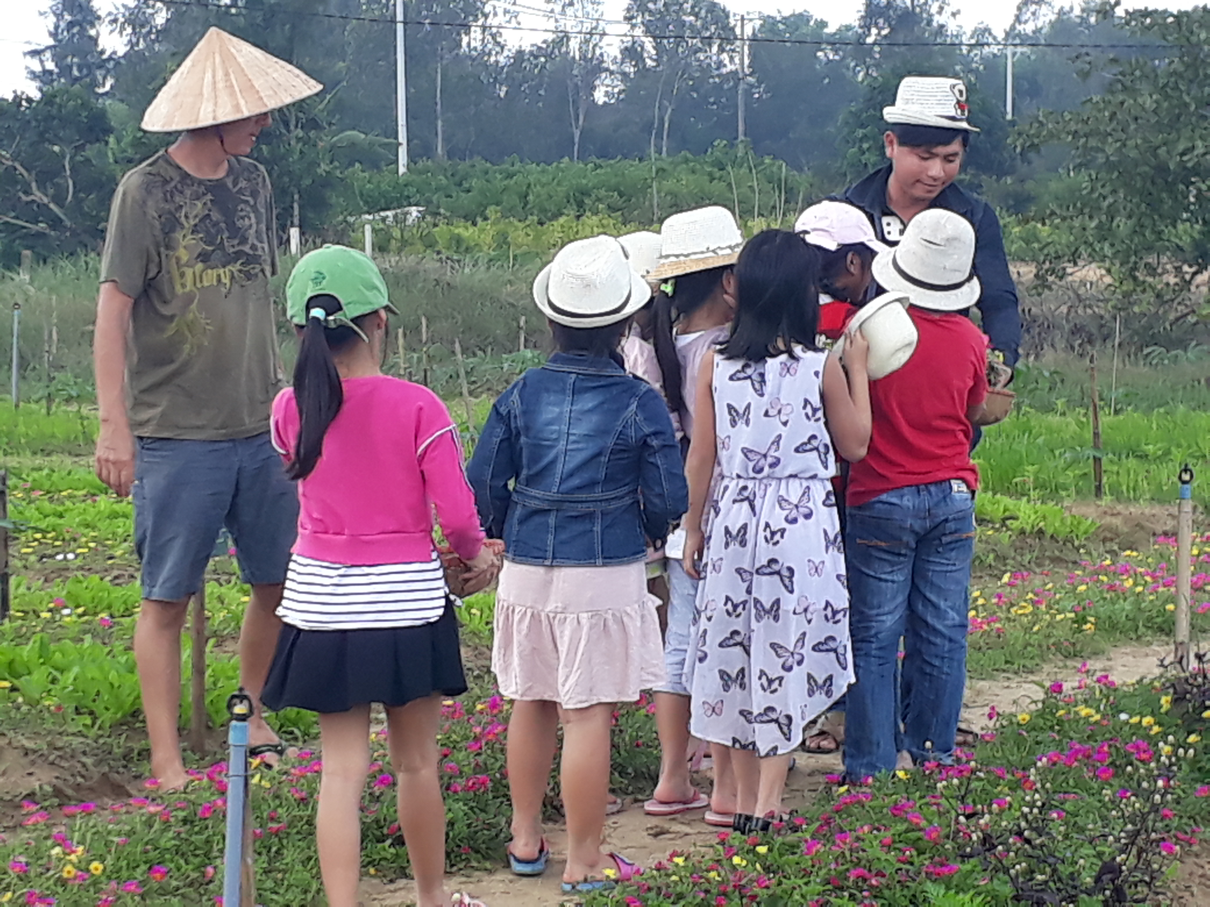 'Trường học thiên nhiên' tươi đẹp cho xu hướng sống xanh organic 1