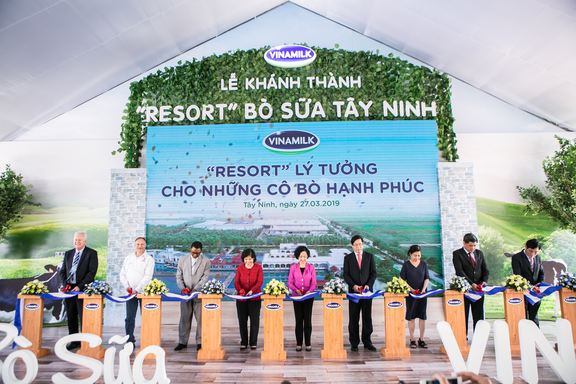 'Resort' bò sữa Vinamilk Tây Ninh 1