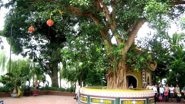 Đầu năm đi lễ mừng xuân 3