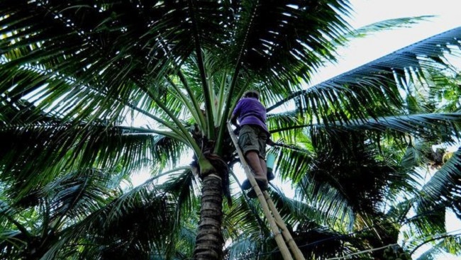 Học nông dân Thái làm du lịch 1