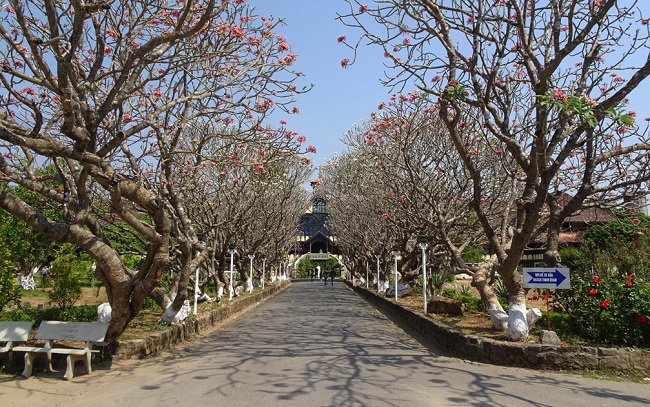 6 nhà thờ tiêu biểu ở Việt Nam 9