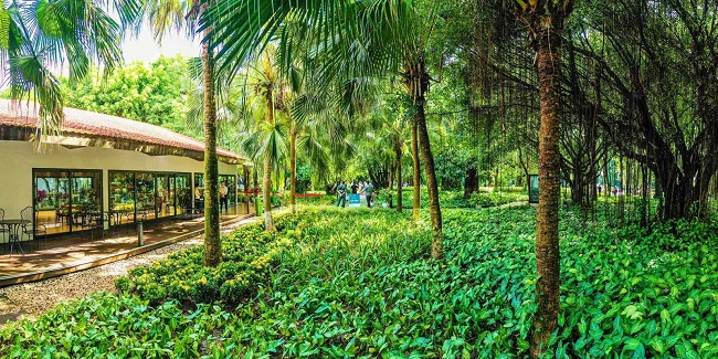 Khách xếp hàng cả cây số để xem nhà mẫu và mua nhà tại Ecopark