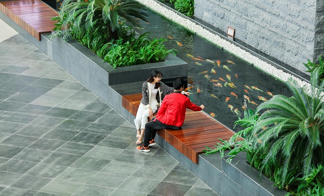 Lạc lối giữa sân bay sinh thái xanh nhất Việt Nam 5