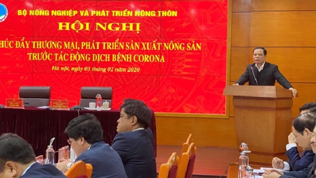 Thanh long, dưa hấu thành ‘gót chân Asin’ của xuất khẩu nông sản trong đại dịch Corona