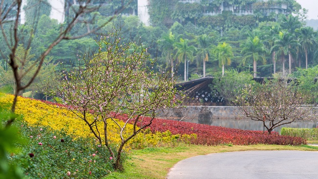 Đón Tết diệu kỳ - Khai xuân như ý tại resort sang trọng hàng đầu thế giới 1