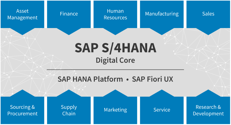 TNR Holdings Vietnam khởi động dự án quản lý nguồn lực ERP SAP S/4HANA