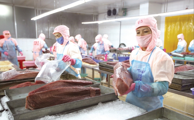 Luồng sinh khí mới 2